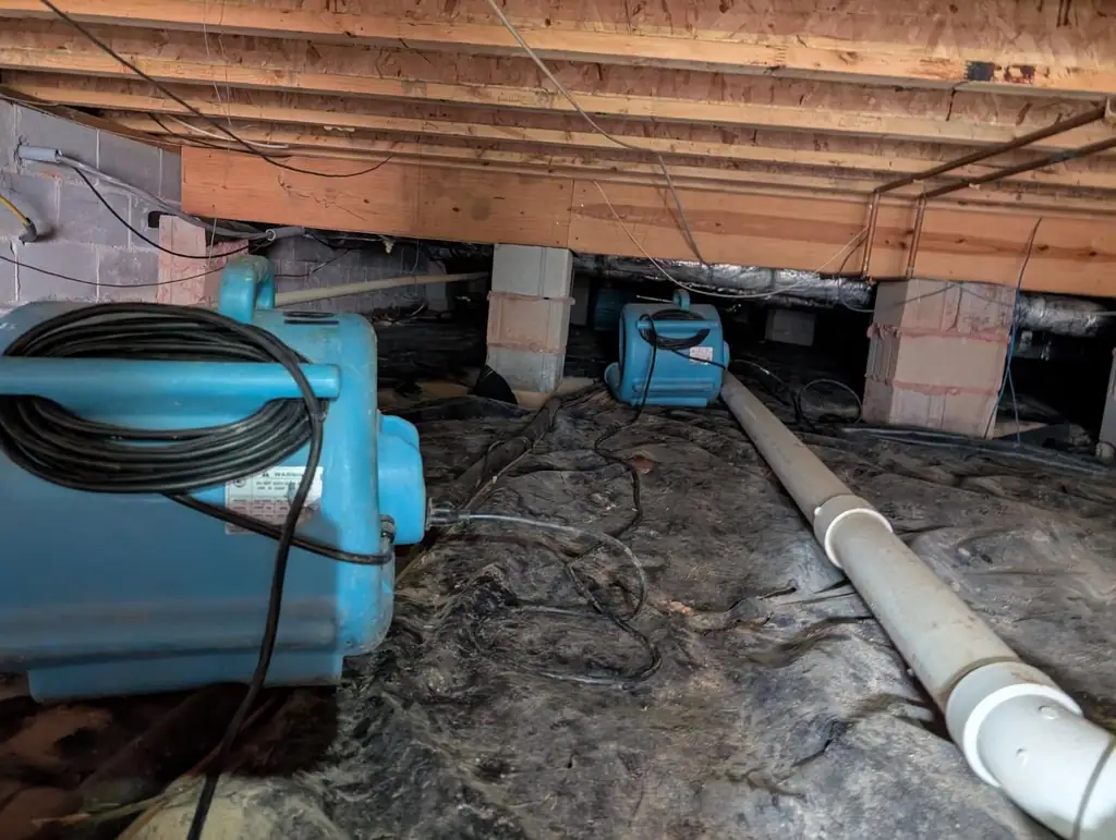 Air movers drying a crawlspace under the floor joists